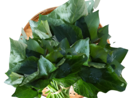 Feuille de Patate - x 1 botte - 250 g