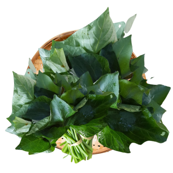 Feuille de Patate - x 1 botte - 250 g