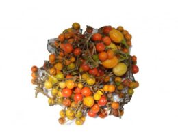 Gnangnan - Origine Côte d'Ivoire - 400g
