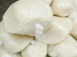 Grande Boule - Attiéké Ébrié ® BIO - Ivoire - 500 g