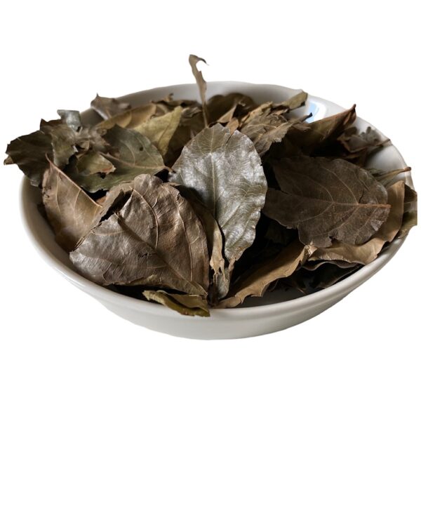 Les Feuilles de kinkéliba - Origine Côte d'Ivoire - 50g