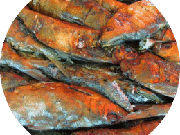 3 Poisson Magne Sec
