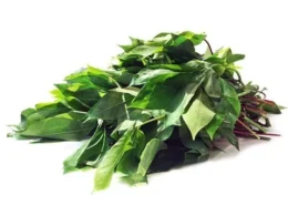 Feuille de Manioc - 1 botte - 250 g