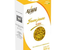 Ivoire "Jaune Jaune" - 500g