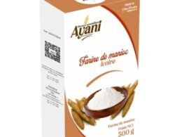Ivoire "Farine de Manioc" - 500g