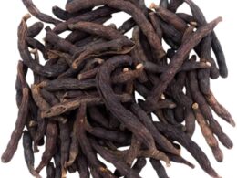 Poivre Long africain - Goût Nature - 500g