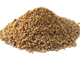 Grain de Mil Précuits "DÊGUÊ" - NATURE - 100g